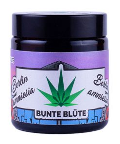 Bunte Blüte Berlin Amnesia Glas