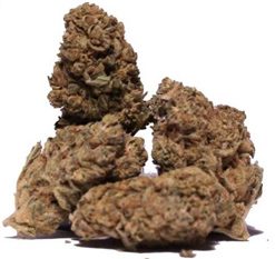 CBD Blüten