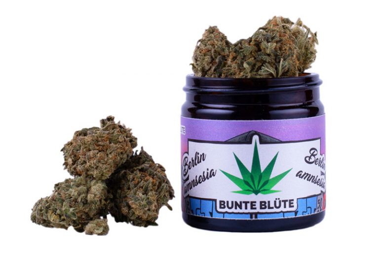 berlin-amnesia-cbd-bl-ten-kaufen-cbd-shoppen-de